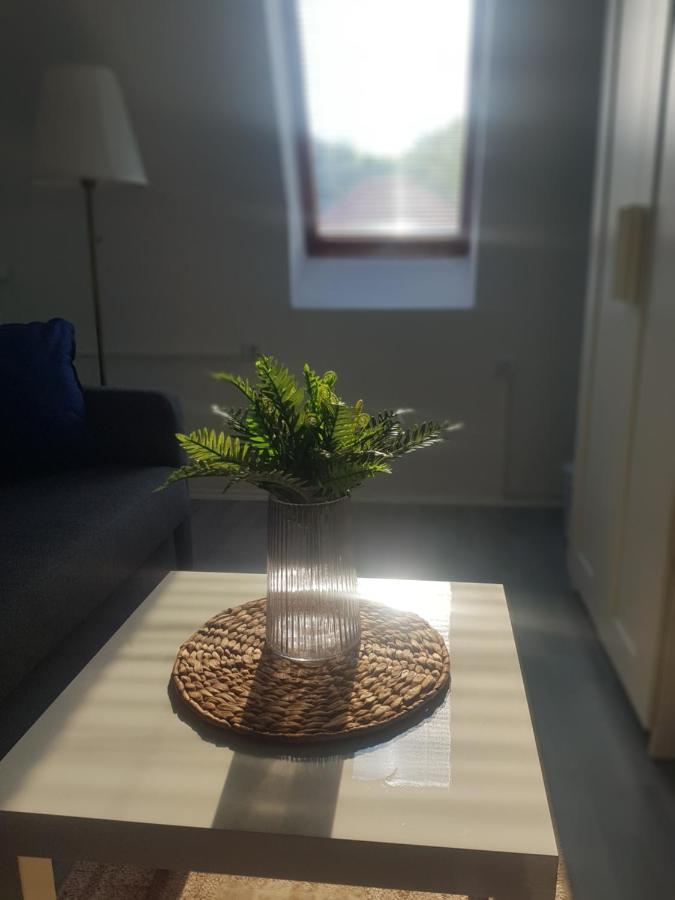 Ketpava Vendeghaz Hotel Igal Buitenkant foto